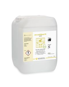 eco saniclean S1
